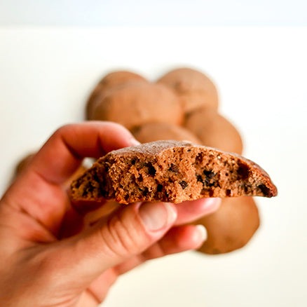 Double Choc Chip Cookies