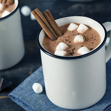 Protein Hot Chocolate