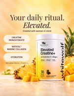 Elevated Creatine+